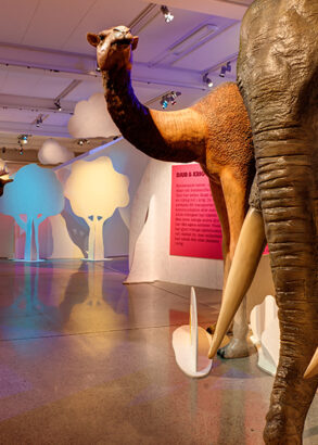 En elefant- och en kamelstaty st&aring;ende l&auml;ngs ena sidan i en utst&auml;llningshall med utskurna tr&auml;d i bl&aring;tt och vitt l&auml;ngre bort.