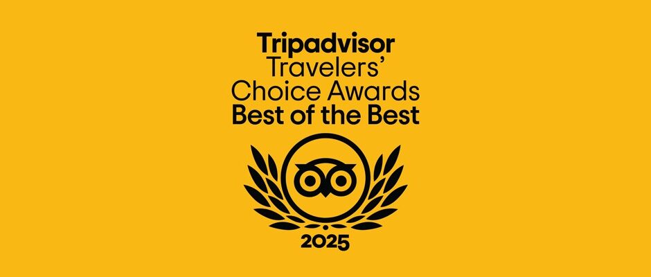 Tripadvisors svarta logga mot gul bakgrund.